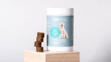 CBD-Vital CBD Hunde-Snacks Gelenksschutz