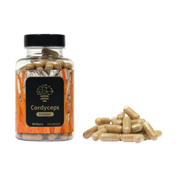Cordyceps-Extrakt-Kapseln – 120 Stk
